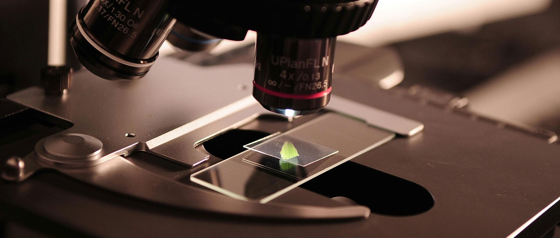 Laboratory Testing Services